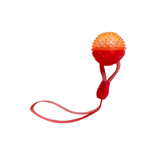 Pelota Squeaker con Correa