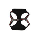 Arnés Pechera + Correa Talla S - Imagen 3