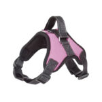 Arnés Acolchado Talla S