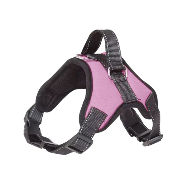 Arnés Acolchado Talla S