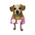 Little Tails Camisa Cuadros Rojos - Imagen 2