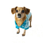 Little Tails Camisa Modelo Teddy - Imagen 2
