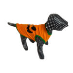 Polo de Calabaza de Algodón - Imagen 2