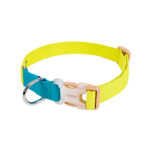 Collar Colorful Amarillo