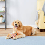 Fat Cat Foodies Puppy Roni - Imagen 2