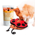 Pack Mariquita Treats