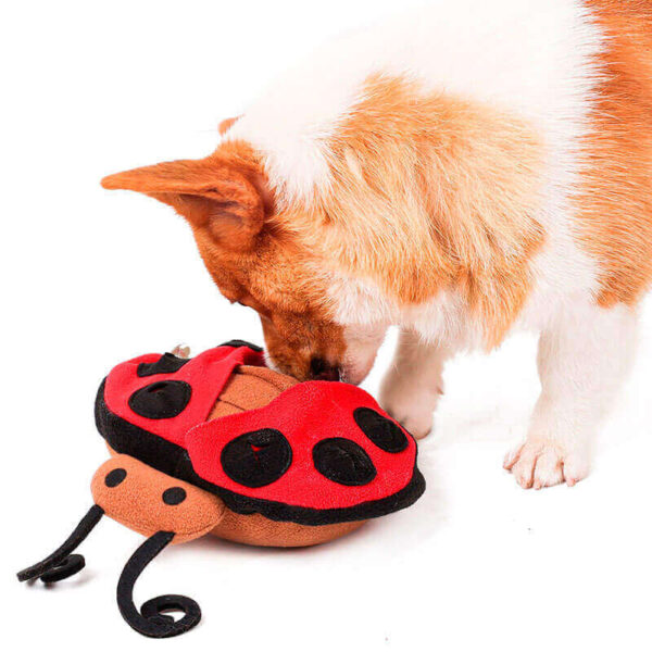 Peluche Mariquita Cognitiva