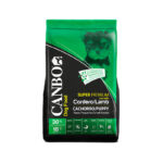 Canbo Cachorro Cordero Raza Pequeña