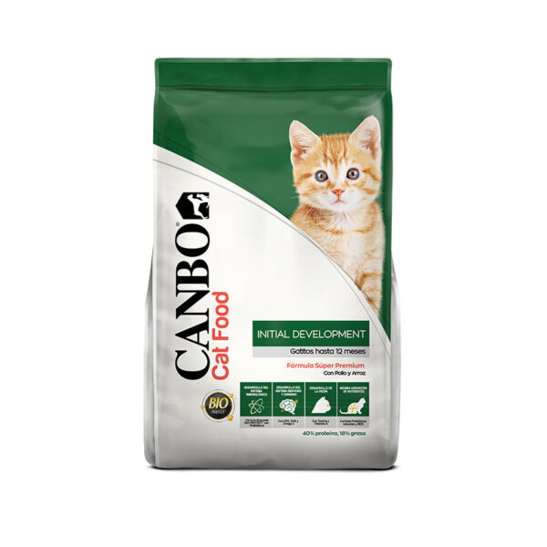 Canbo Gato Initial Development