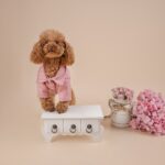 Little Tails Abrigo Princesa de Gales - Imagen 4