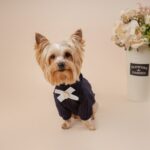 Little Tails Sweater Deluxe Azul - Imagen 2