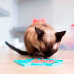 LickiMat Casper - Imagen 2