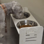 Greenpaw Comedero Doble y Regulable - Imagen 2