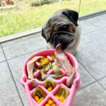 ZippyPaws Plato Anti-Ansiedad HappyBowl Ice Cream - Imagen 3