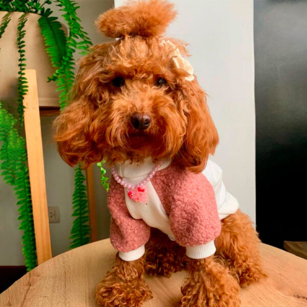 Wuffings Polera Carnerito Perla