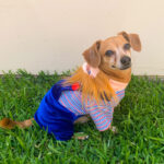 Disfraz Chucky - Imagen 3