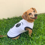 Polo de Fantasma de Algodón - Imagen 3