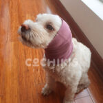 Protector de Oídos - Imagen 2