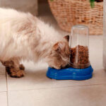 Ferplast Azimut Dispensador de Agua y Comida 0.6 L - Imagen 2