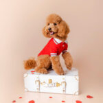 Little Tails Polo Pique Rojo