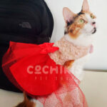 Little Tails Vestido Dorado con rojo - Imagen 2