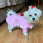 Little Tails Saco de vestir Rosa - Imagen 2