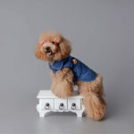 Scrappie Shopper Chaleco Demin Mario Bross - Imagen 2