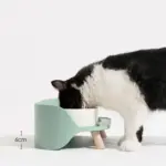 Pet Mood Plato Doble de Cerámica 2