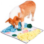 Alfombra Cognitiva Twister