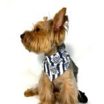 Blue Stars Bandana Alianza Lima