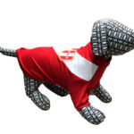 Polo Manga Larga Selección Peruana