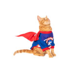 Que Woww Disfraz Capitán América