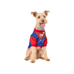 Que Woww Disfraz Spiderman