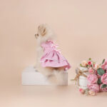 Little Tails Vestido Rosado de Gales