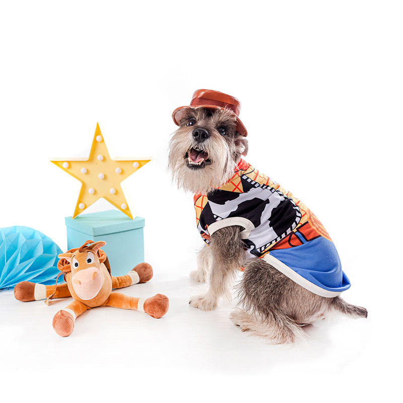 Halloween Disfraz de Woody Toy Story para Mascotas - Scrappie - Cochikis Pet