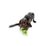 Orbee-Tuff Bones Talla M - Imagen 2