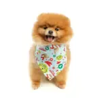 Bandydog! Bandana Merry Grinchmas