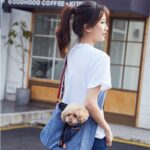 Cartera de Jean para Llevar Mascotas