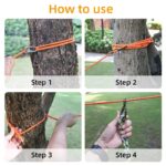 Cuerda Runner For Yard - Imagen 3