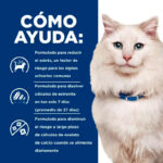 Hill's PD Feline c/d Multicare Stress Urinary Care - Imagen 2