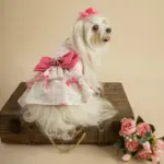 LITTLE TAILS VESTIDO ROMANTIC 2