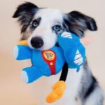 Gigwi Rock Zoo Rinoceronte Boxer