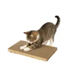 Smile Paws Repuesto Rascador Gato