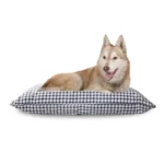 FRINGE CAMA PAINTED GINGHAM LARGE PILLOW