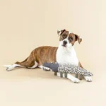 FRINGE JUGUETE CANVAS SQUEAKER CROC MY WORLD