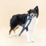 FRINGE JUGUETE CANVAS SQUEAKER THERE SHE BLOWS