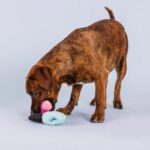 FRINGE JUGUETE HIDE & SEEK WAKE UP AND MAKE UP