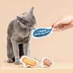 FRINGE JUGUETE MR LISTEN UP