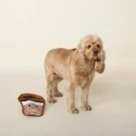 FRINGE JUGUETE PLAY RUFF! YOU MOCHA ME CRAZY
