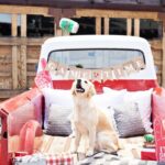 FRINGE PELUCHE GAME DAY IPA